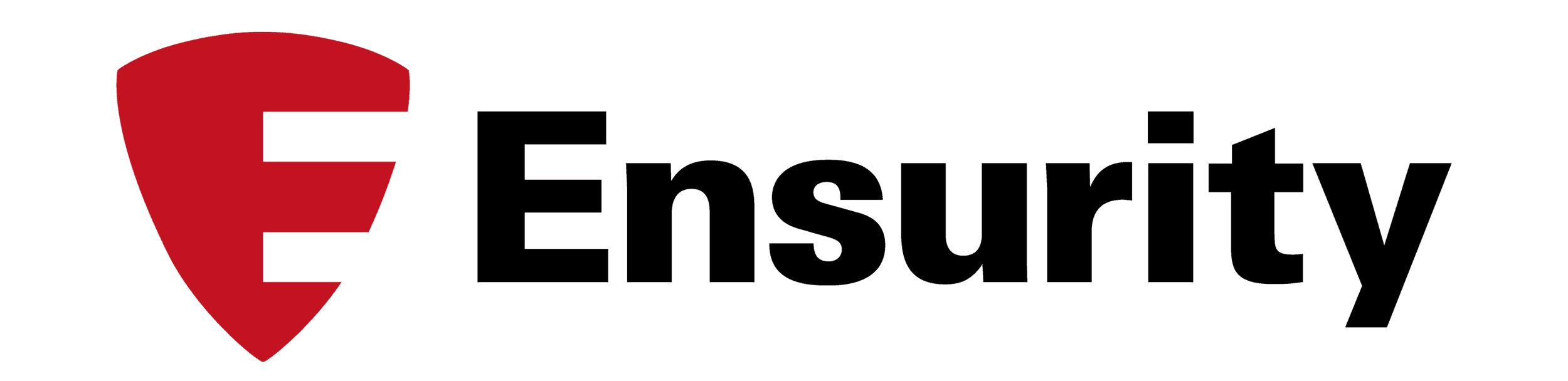 Ensurity Logo - Bronze Sponsor