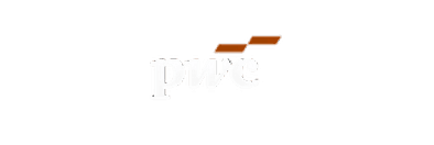 pwc logo
