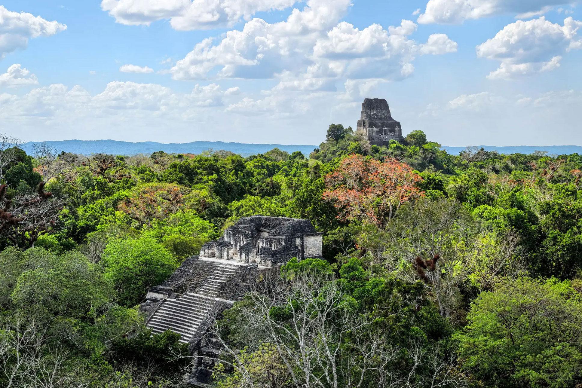 Pyramid at Tikal visible above treeline in jungle
